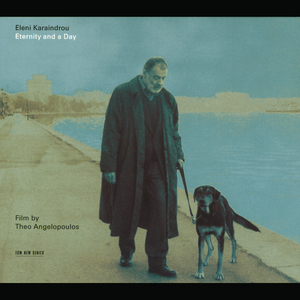 中文字幕第23页
